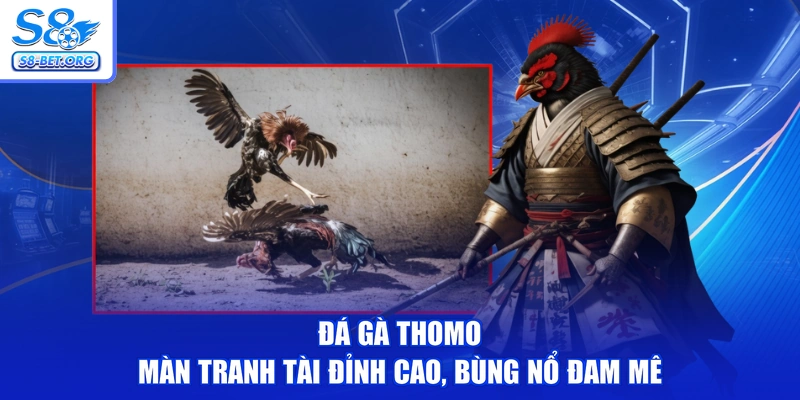 Đá gà Thomo - Màn Tranh Tài Đỉnh Cao, Bùng Nổ Đam Mê