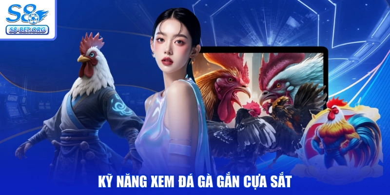 Kỹ năng xem đá gà gắn cựa sắt